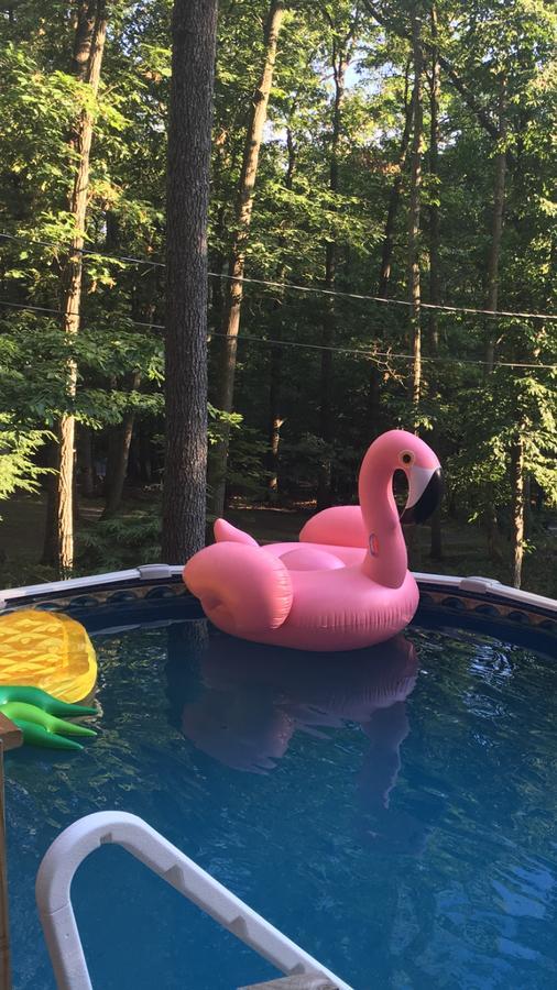 איסט סטרודסבורג Pocono Cabin With Private Pool At Shawnee Mtn מראה חיצוני תמונה